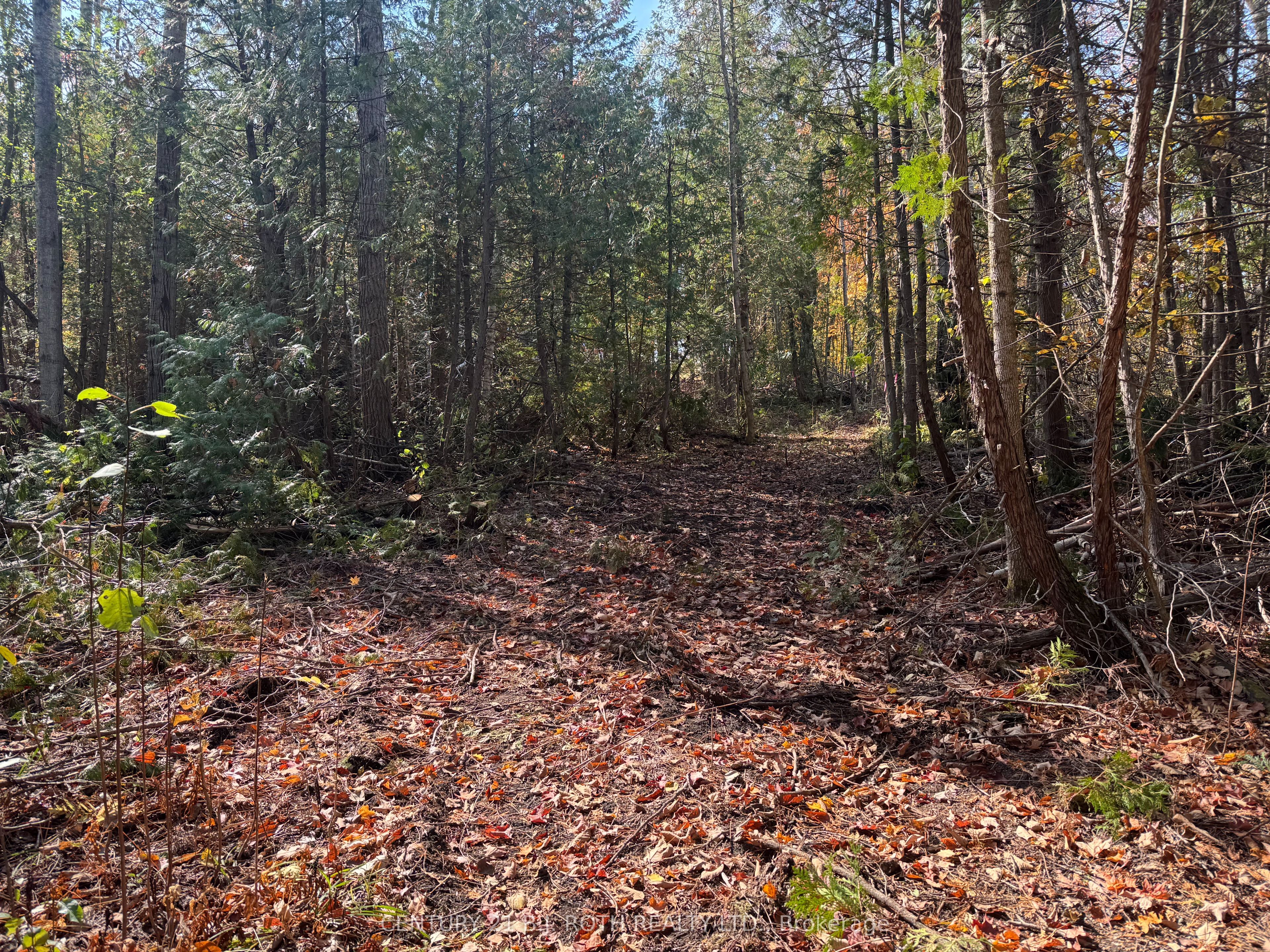 Additional image 4 of 2960 8 Line, Oro-medonte, ON, L0K 1N0