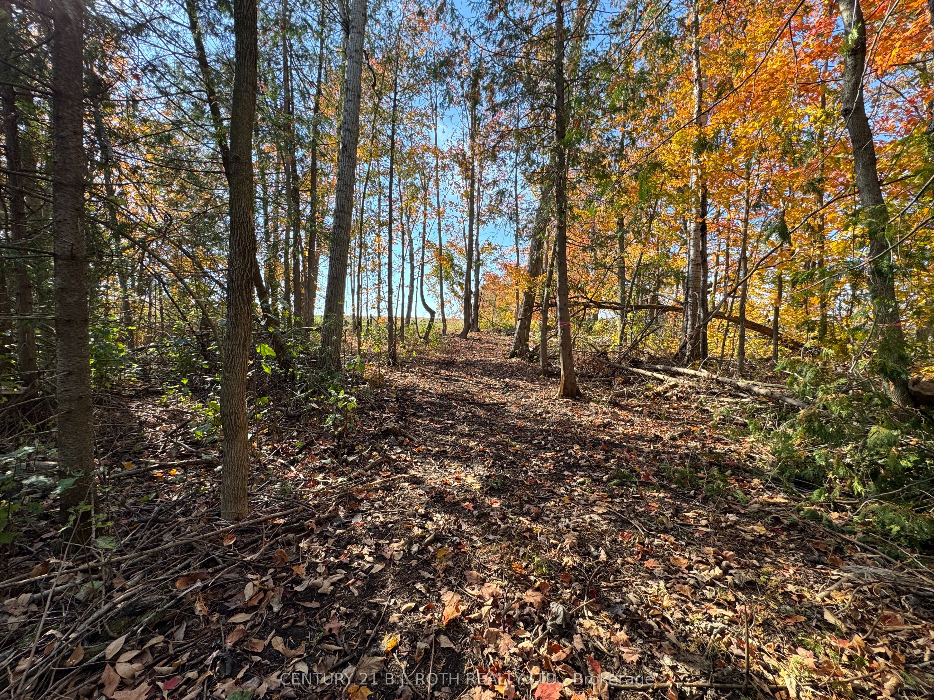 Additional image 5 of 2960 8 Line, Oro-medonte, ON, L0K 1N0