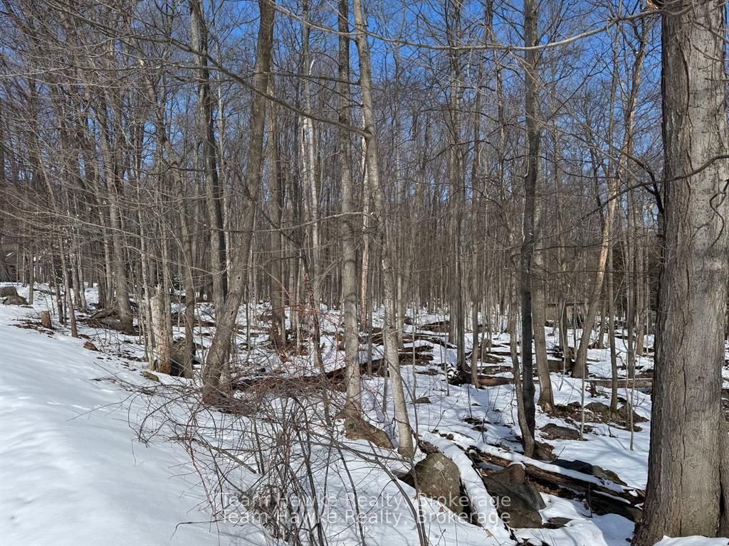 Additional image 6 of 85 Polish Avenue, Penetanguishene, ON, L9M 1W8
