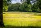 Additional image 24 of Ewhurst, Surrey, GU6