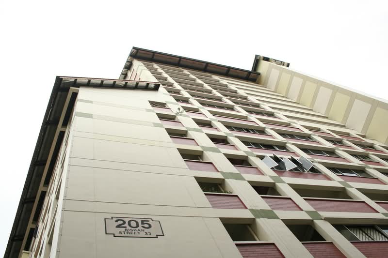 Additional image 6 of 205 Bishan Street 23