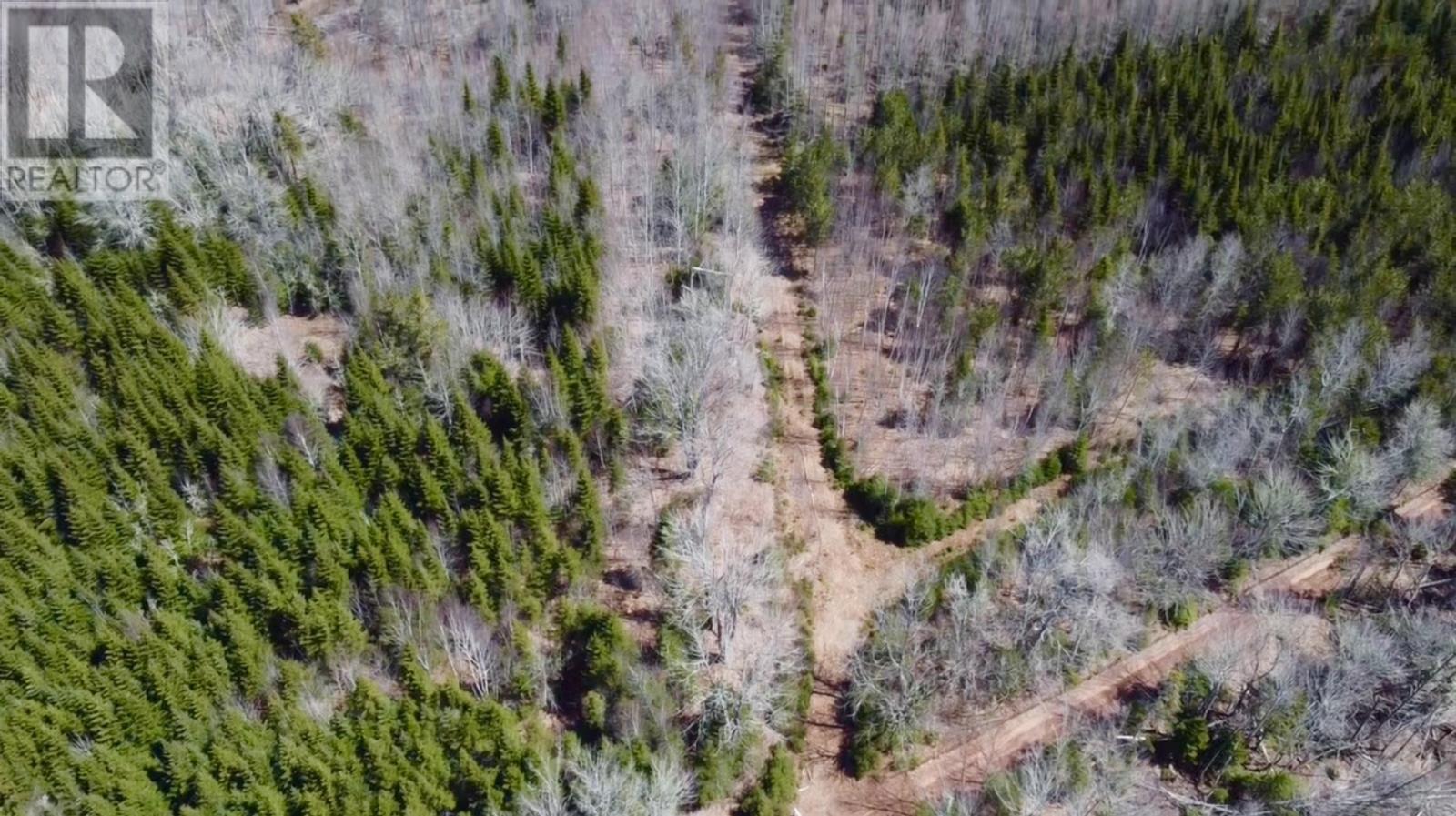 Settlement Road
