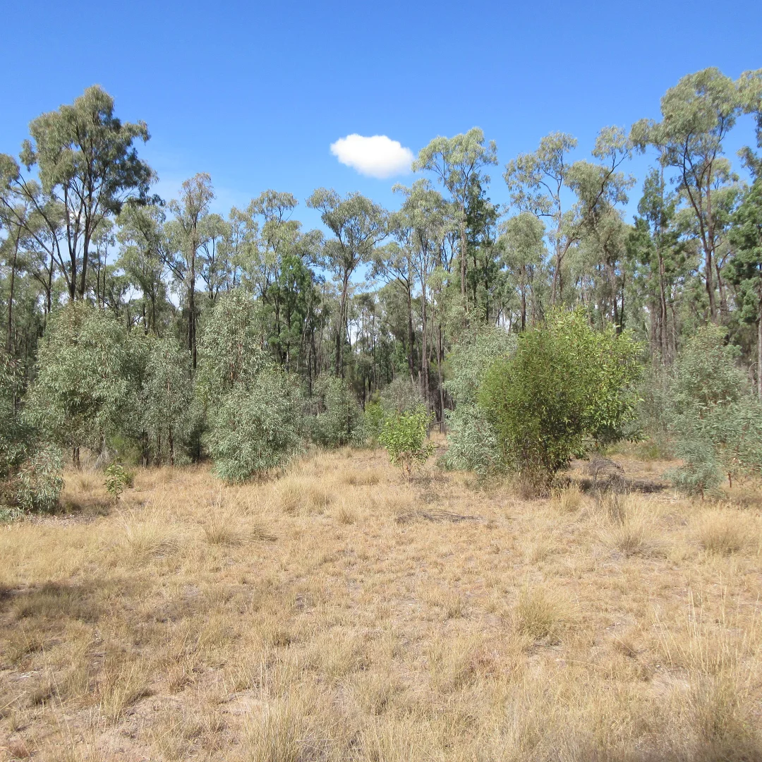 Additional image 2 of Tara QLD 4421