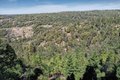Additional image 79 of 19015 E Pine Dr, Pioneer, CA, 95666