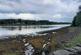 Additional image 5 of Blaich, Fort William PH33