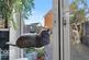 Additional image 11 of Genas Close, Barkingside
