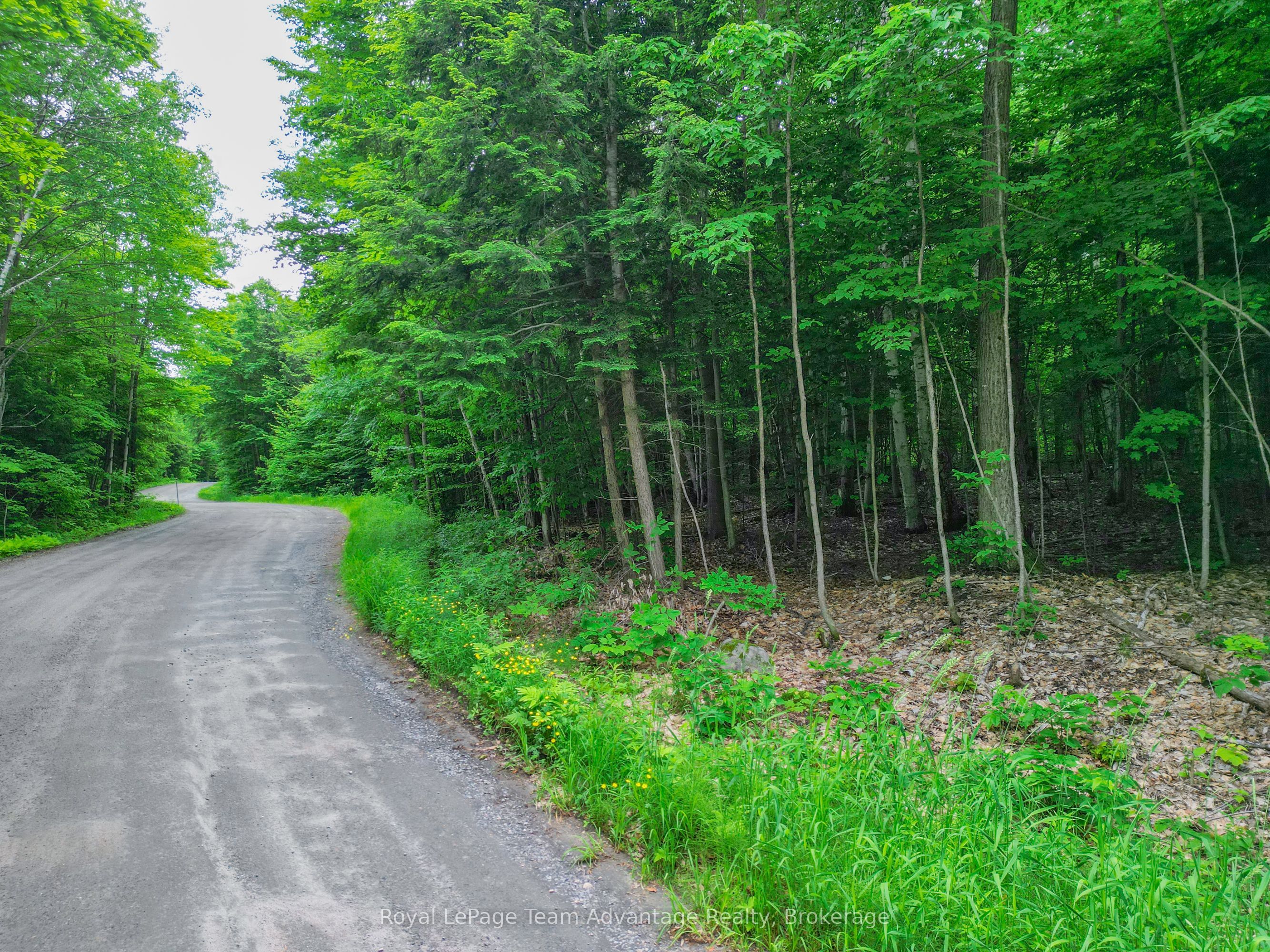 Additional image 2 of 0 Mill Lake Trail, Mcdougall, ON, P2A 2W9