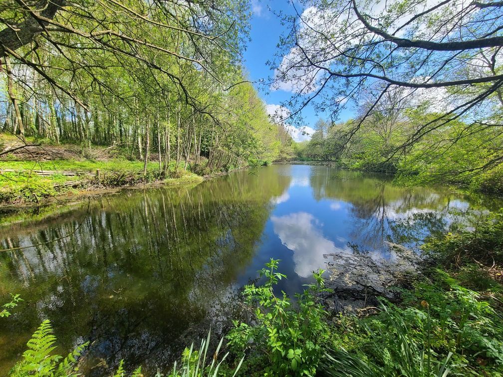 Land for saleRomsey, Hampshire SO51