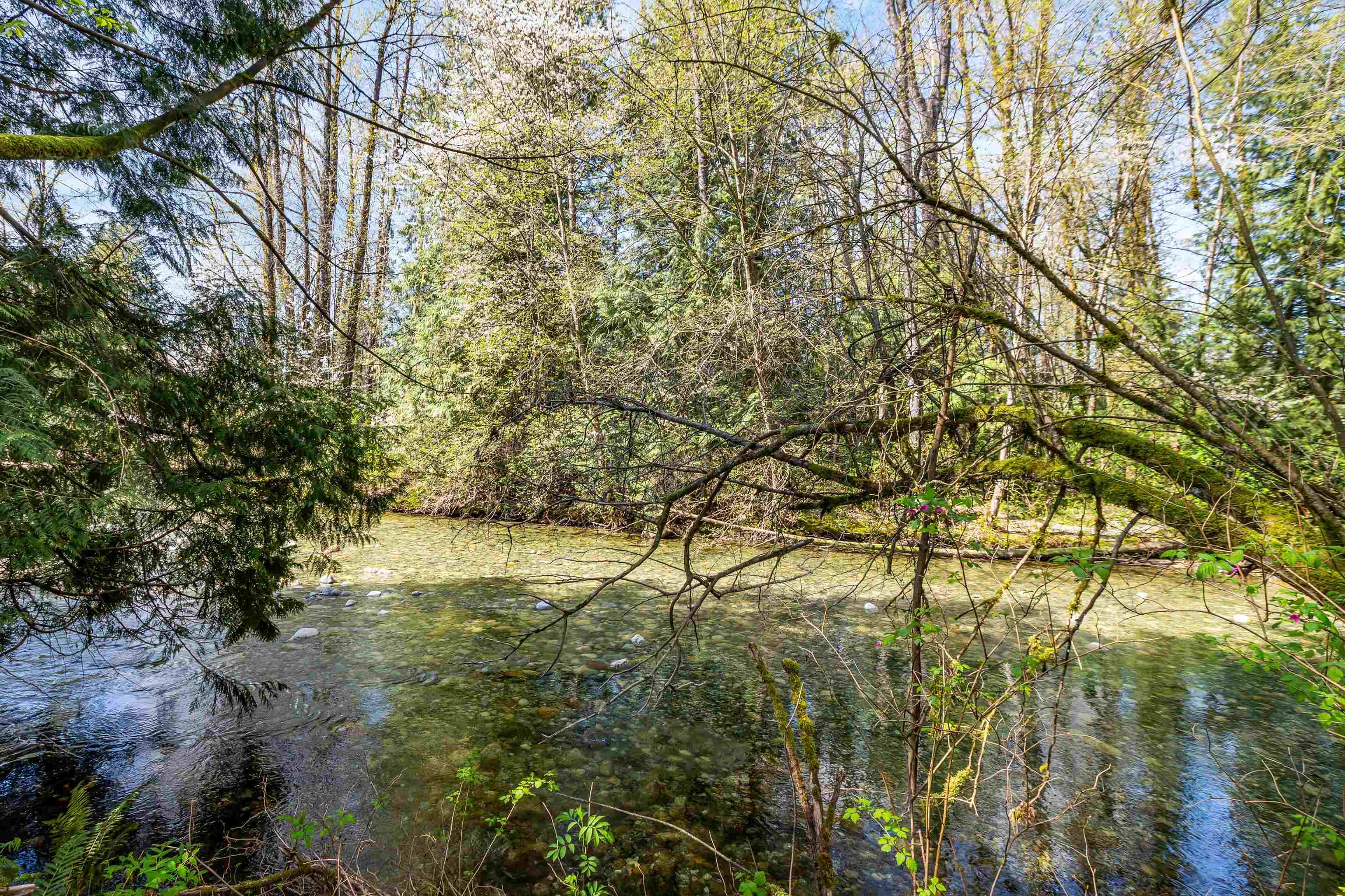 Additional image 2 of 13209 232 Street, Maple Ridge, BC, V4R 2S7