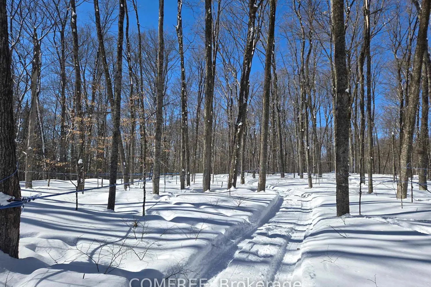 Additional image 16 of 89 Stewart Road
