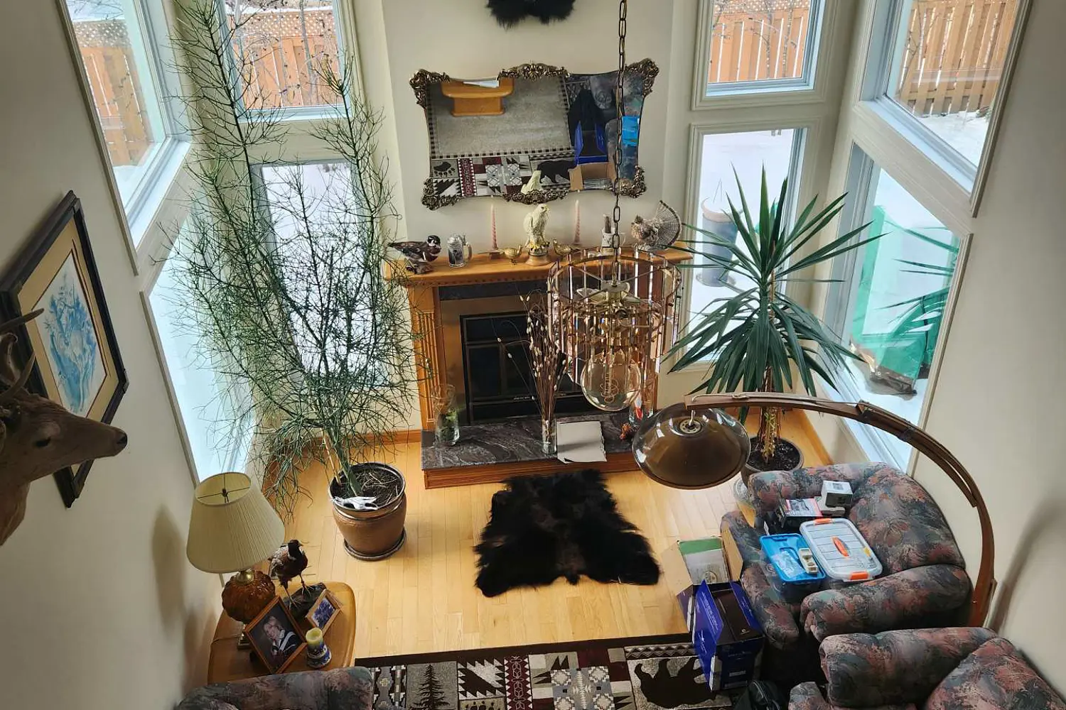 31 Dossetter Way photo 4