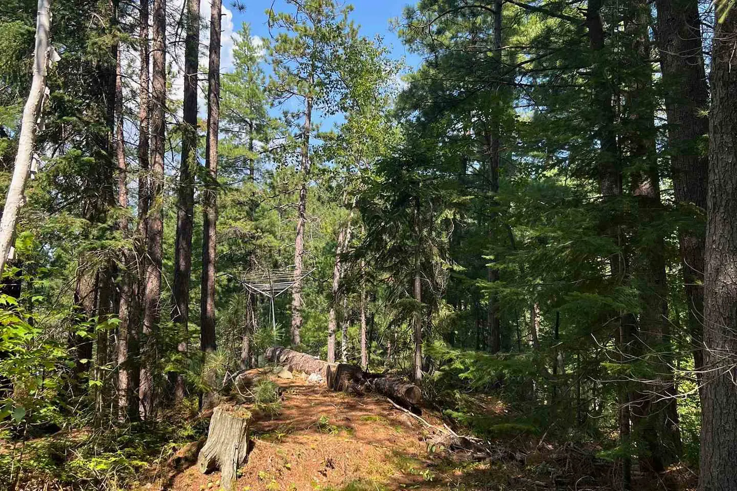 Additional image 11 of 1093 Lake Temagami