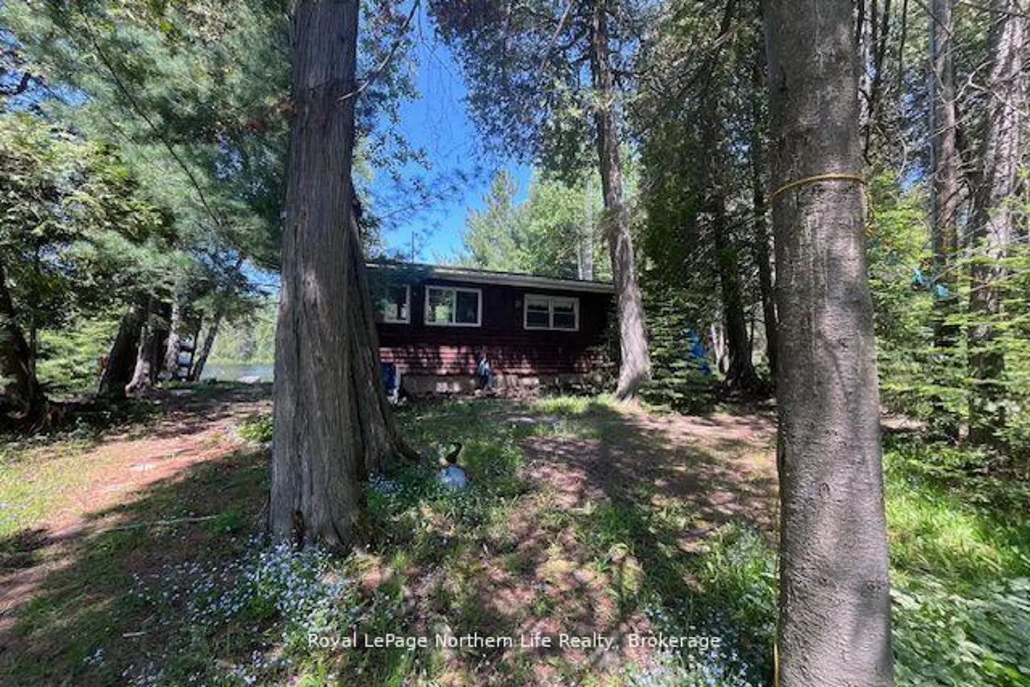 Additional image 19 of 144 Lake Temagami Isl 25 Island