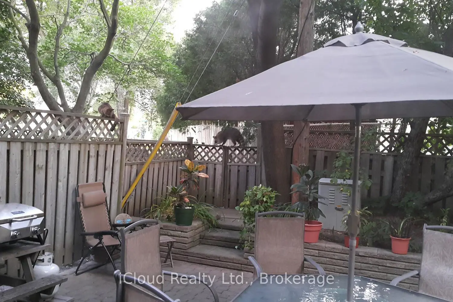 Additional image 19 of 46 Dearbourne Boulevard 56