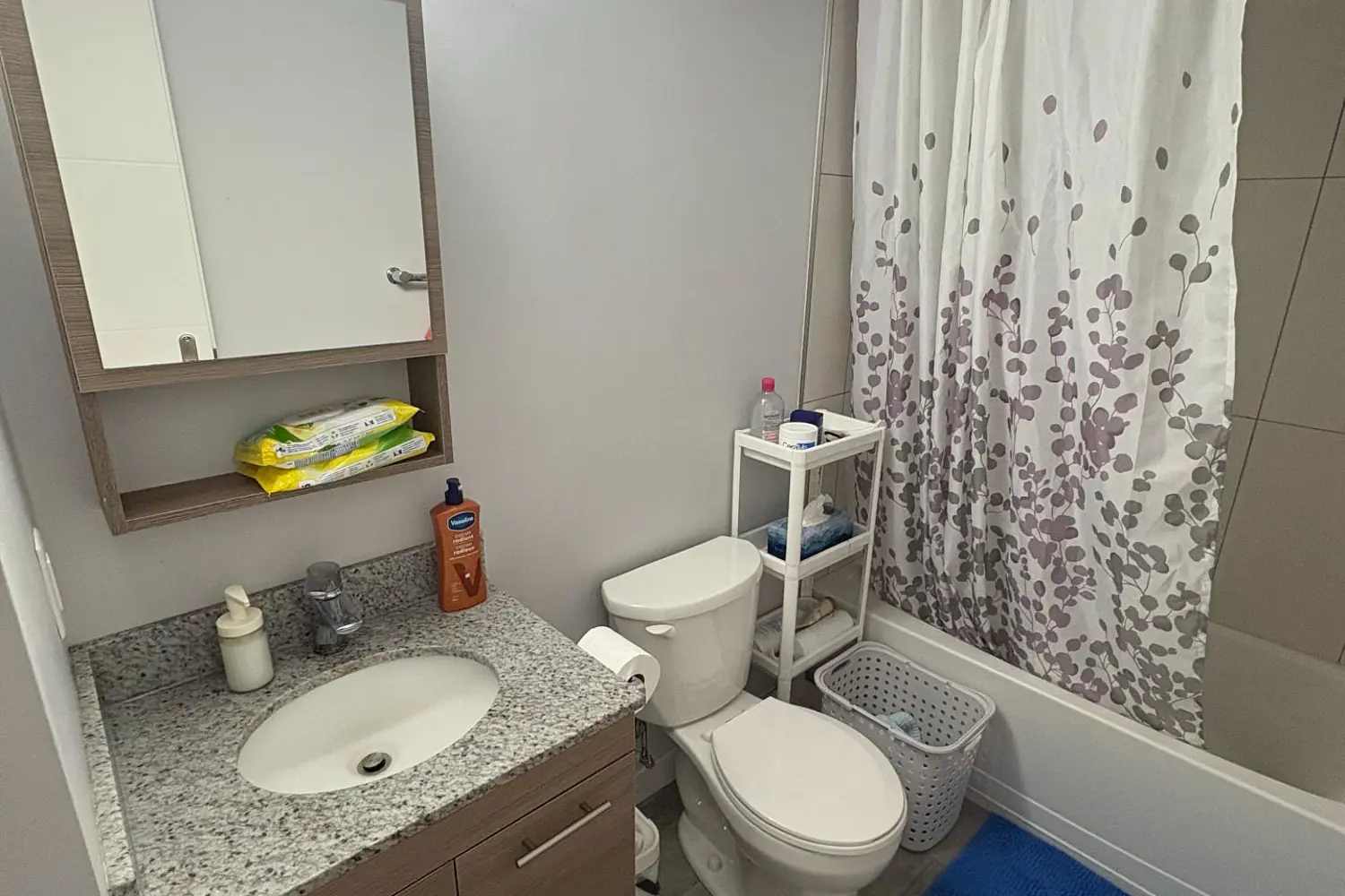Additional image 13 of 338 Albert Street 219