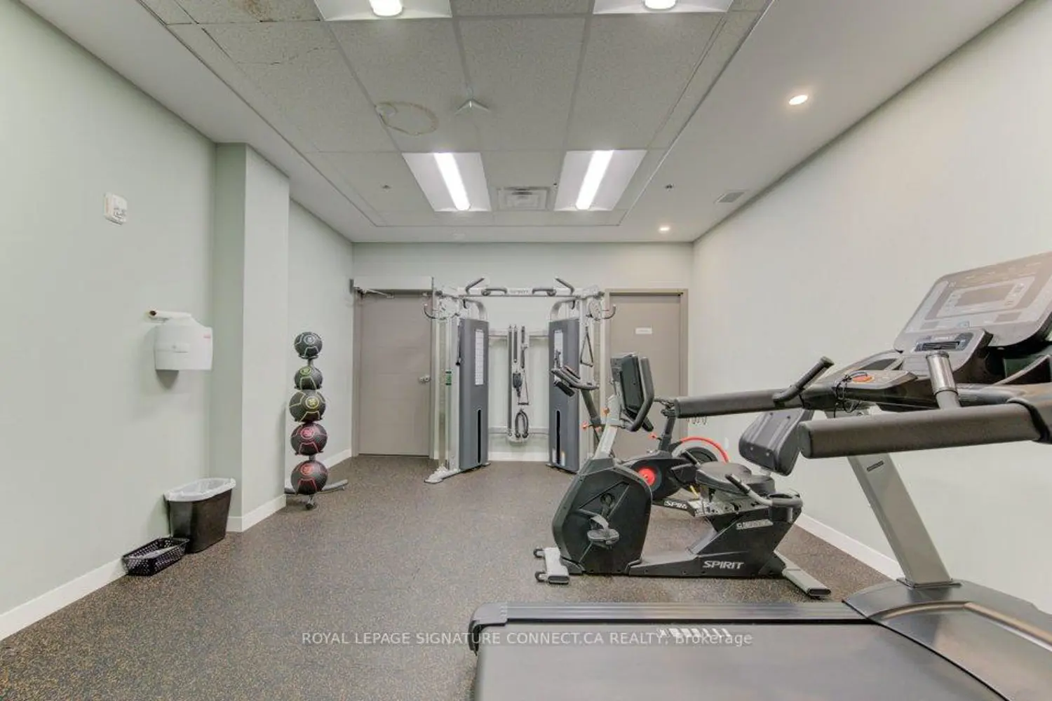 Additional image 10 of 250 Albert Street 705