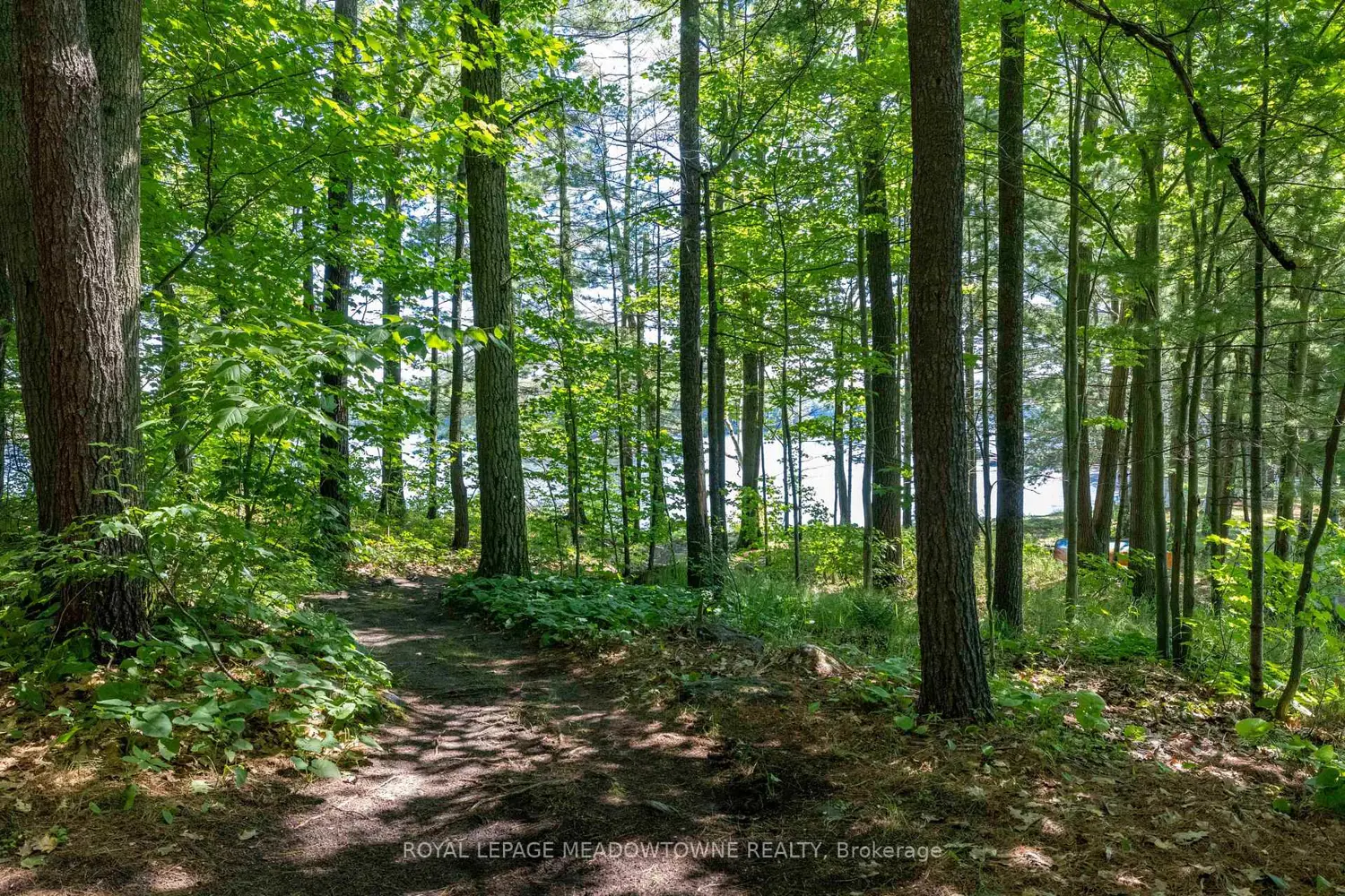 Additional image 19 of 1 B721 Galt Island