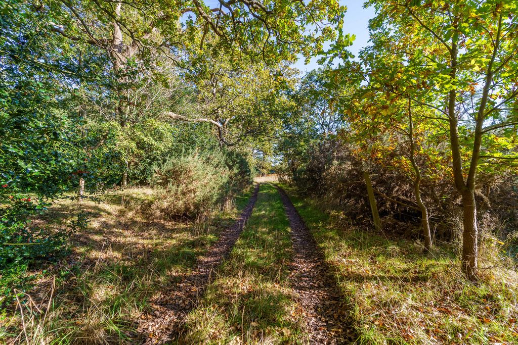 Additional image 19 of 4 bed detached bungalow for saleHoney Hill, Wokingham RG40
