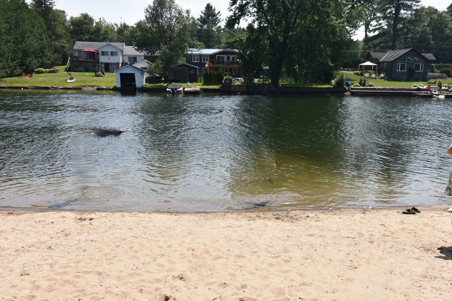 Additional image 11 of 1082 Shamrock Marina Road 62