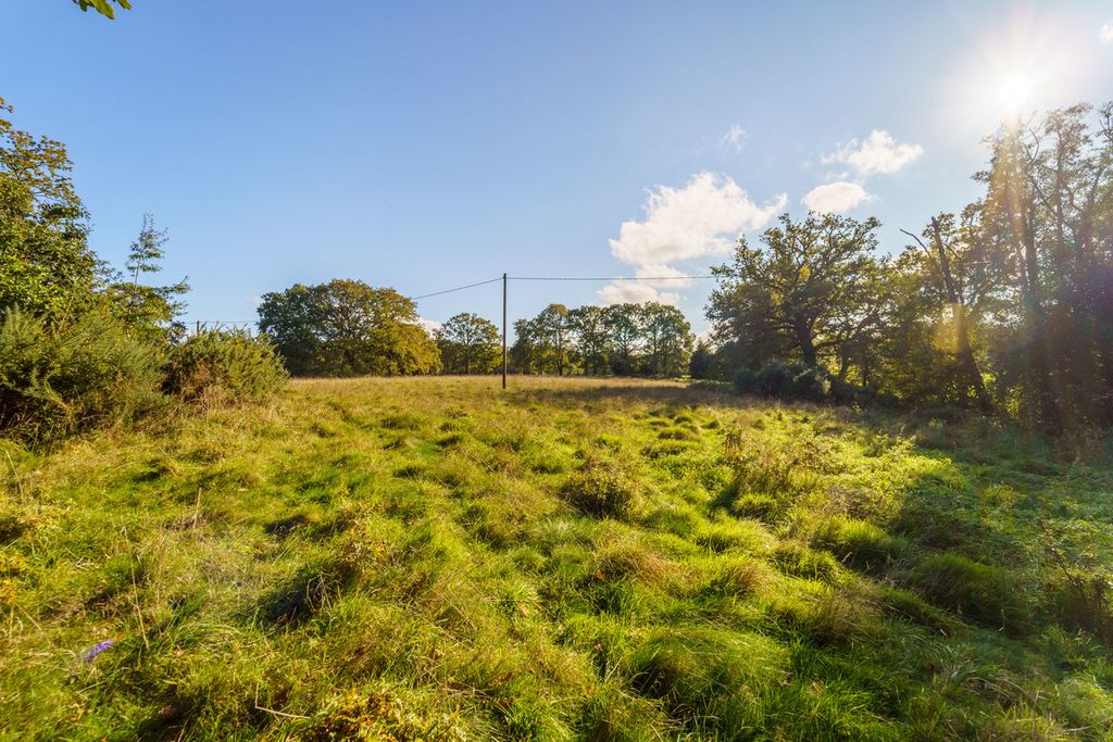Additional image 10 of 4 bed detached bungalow for saleHoney Hill, Wokingham RG40