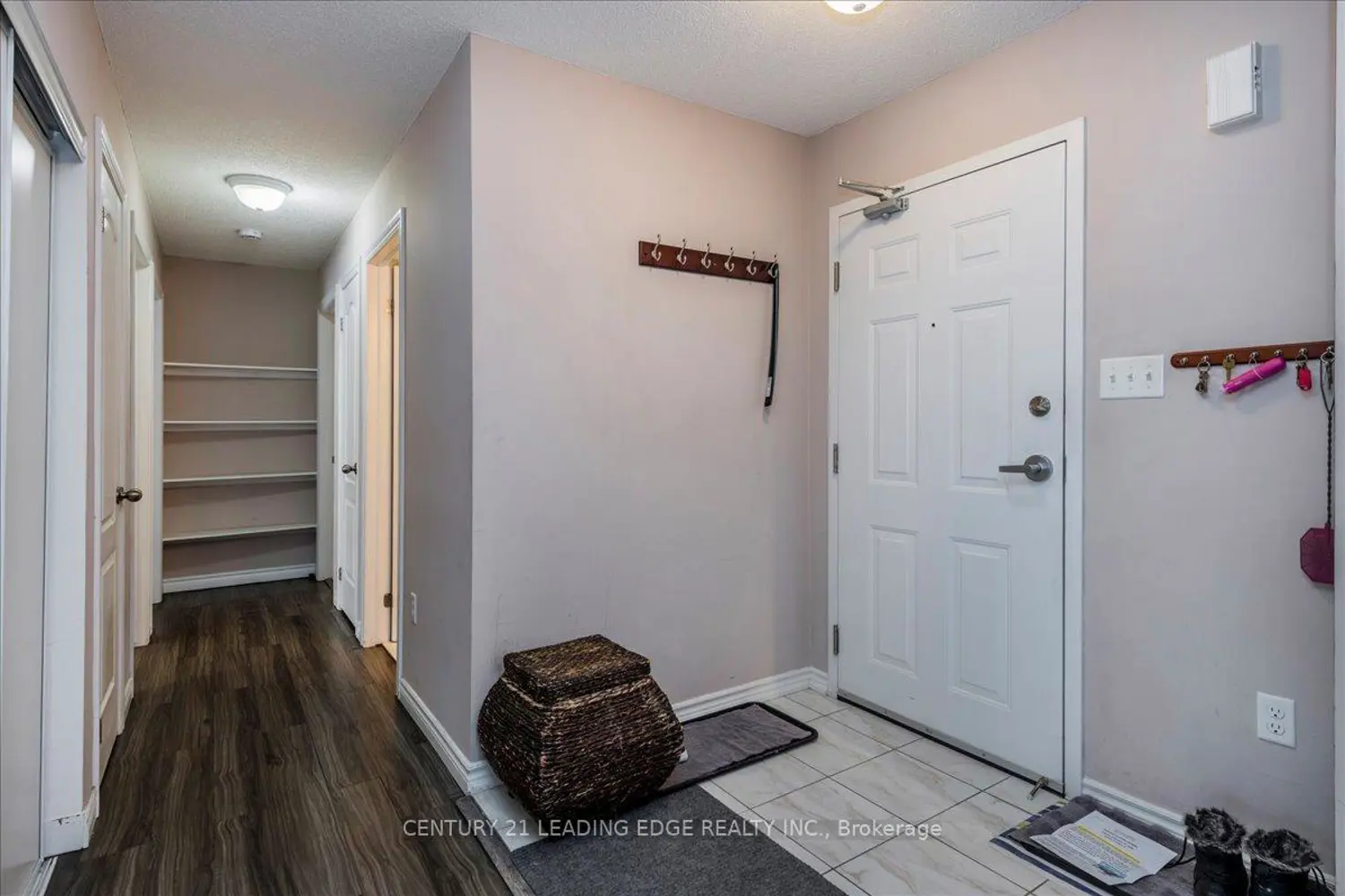 Additional image 8 of 43 Coulter Street 20
