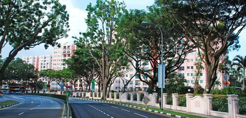 Additional image 10 of 16 Simei Street 1