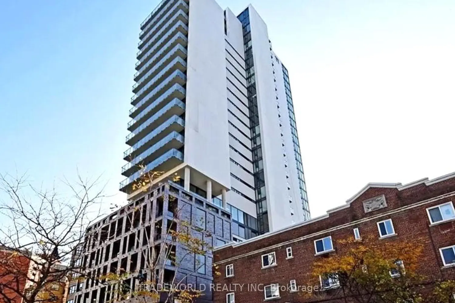 81 Wellesley Street 2204