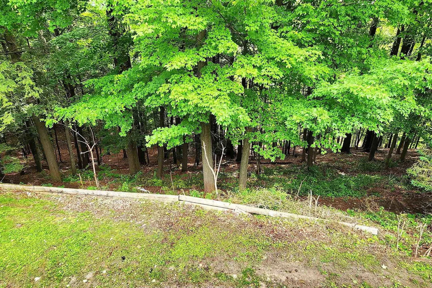 Additional image 18 of 60 Klein's Ridge