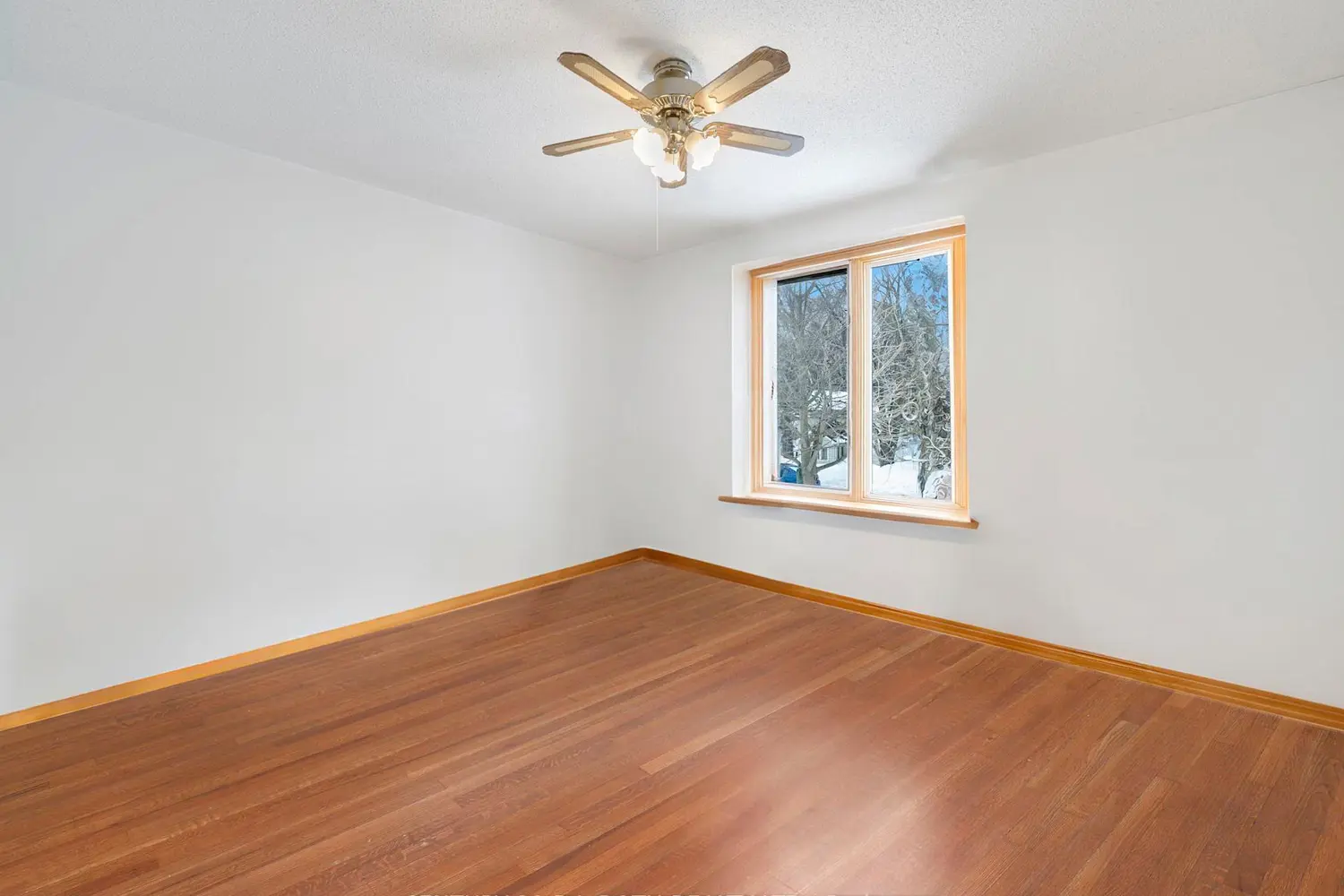 Additional image 7 of 292 Millard Street