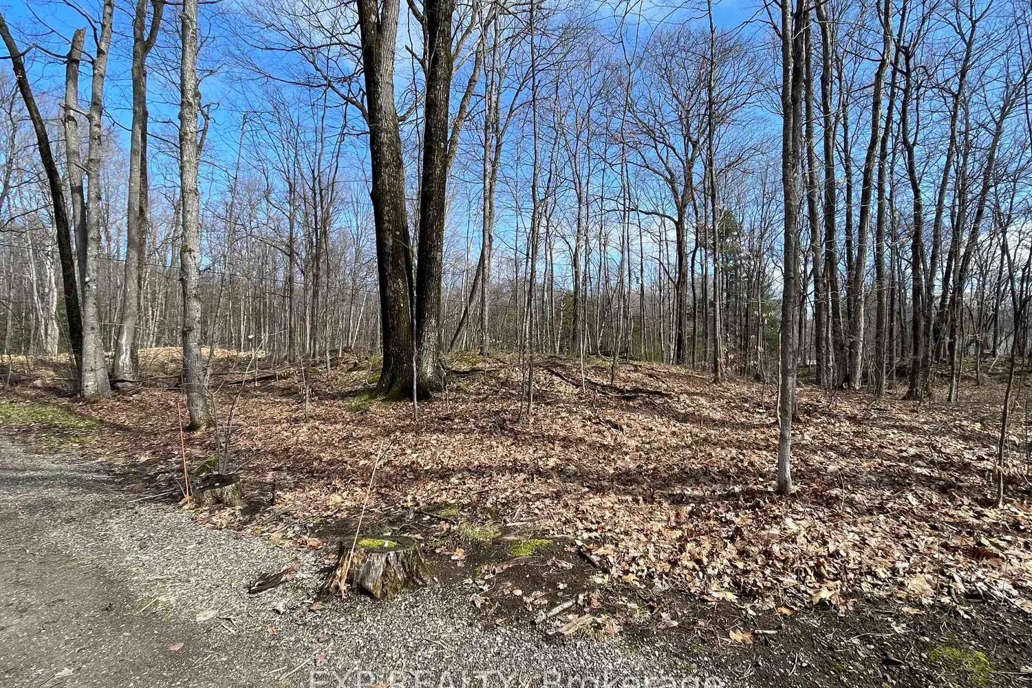 Additional image 19 of 20 Crestview Drive