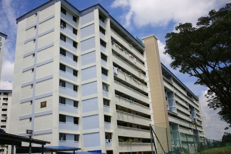 Additional image 17 of 101 Woodlands Street 13