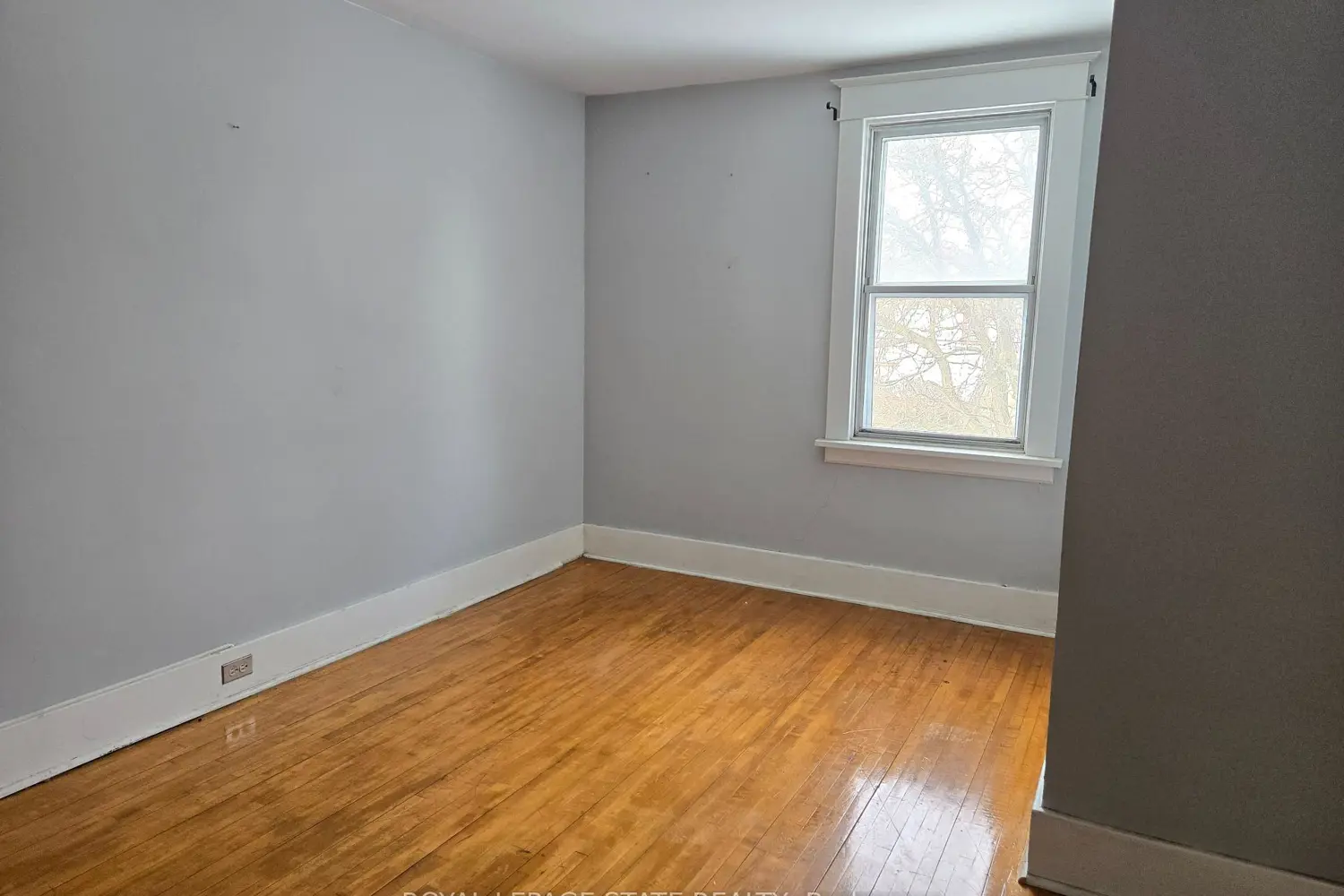 Additional image 7 of 45 Chaplin Avenue