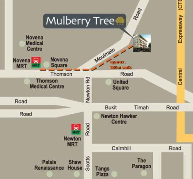 Additional image 11 of 167 Moulmein Road
