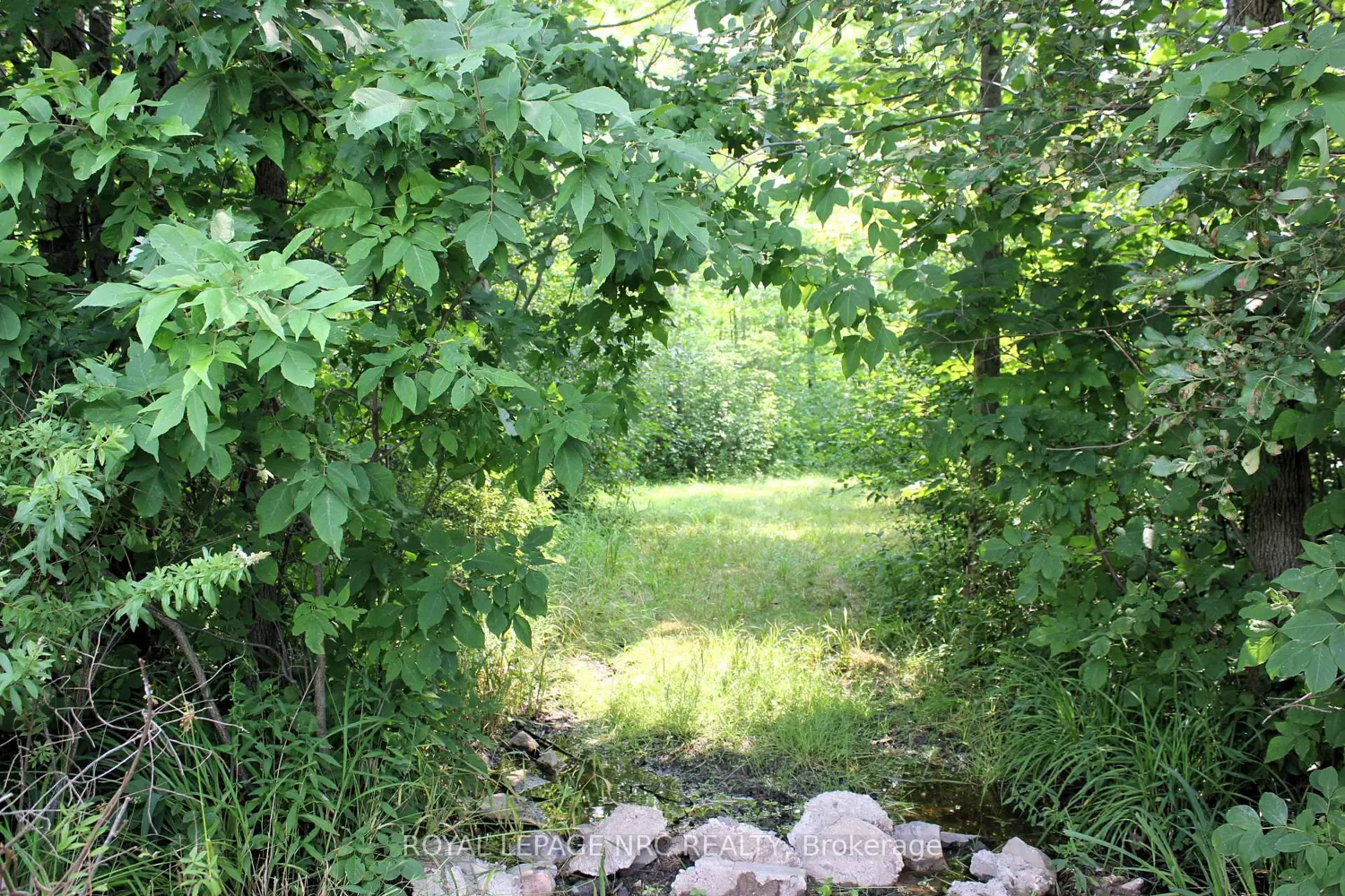 Additional image 8 of 4511 Miller Road