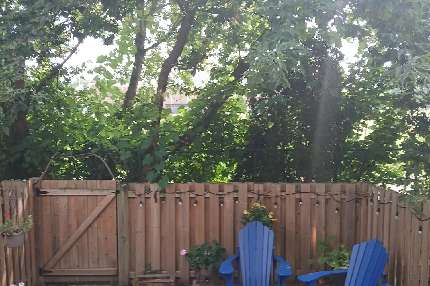 Additional image 4 of 302 Vine Street 31