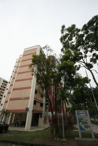 Additional image 12 of 251 Jurong East Street 24