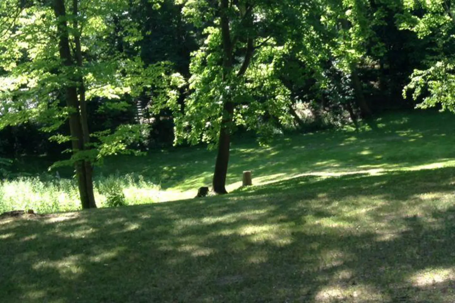 Additional image 13 of 1322 Birchview Drive