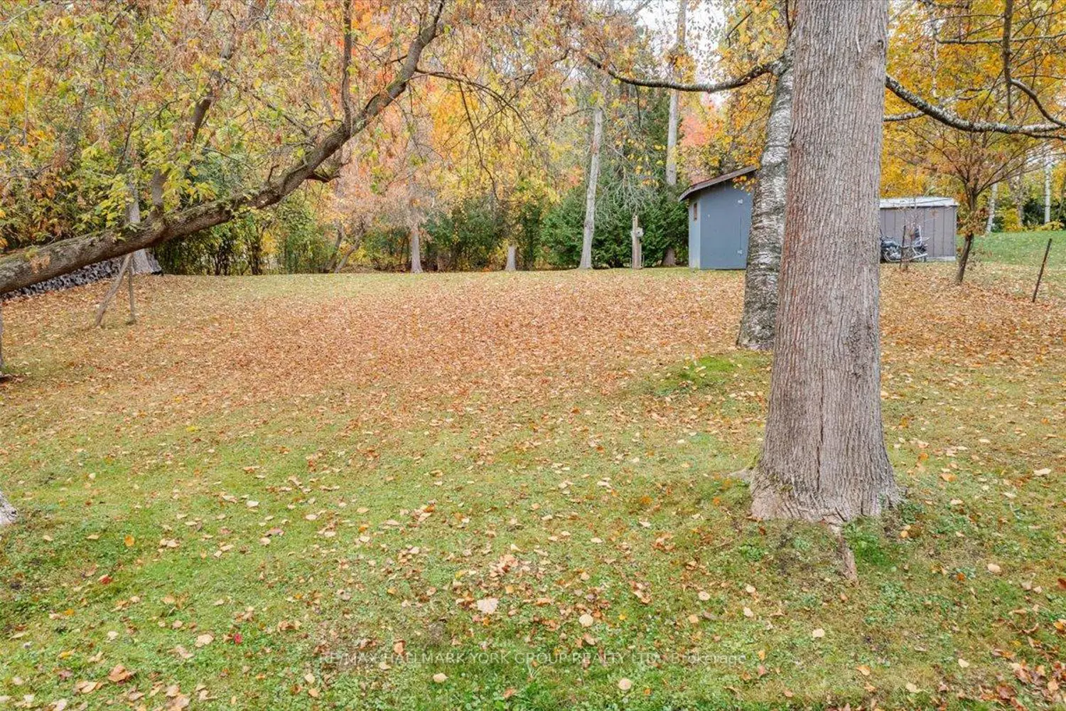 Additional image 14 of 33 Mourning Dove Road
