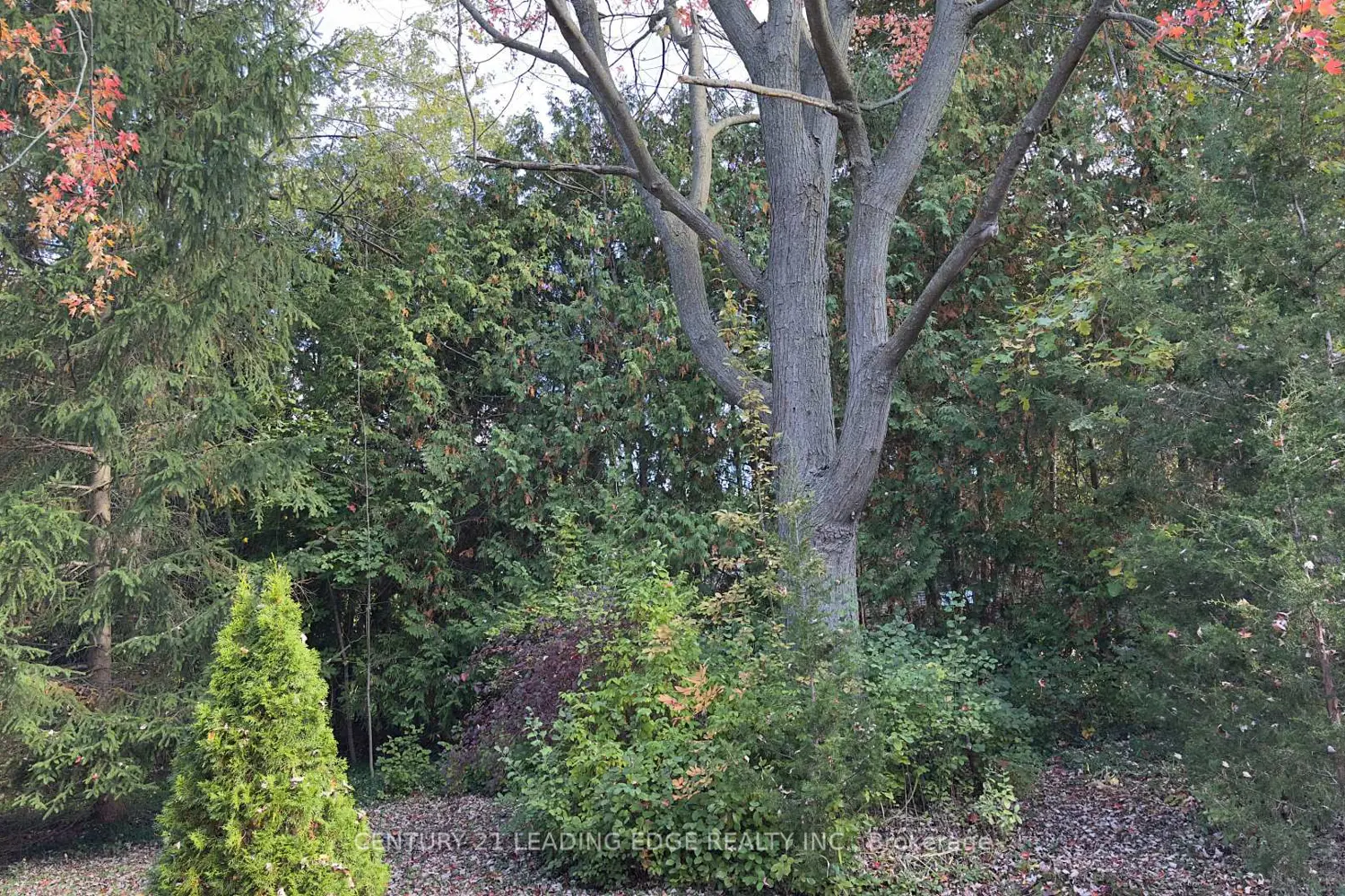 Additional image 4 of 117 Westwood Lane
