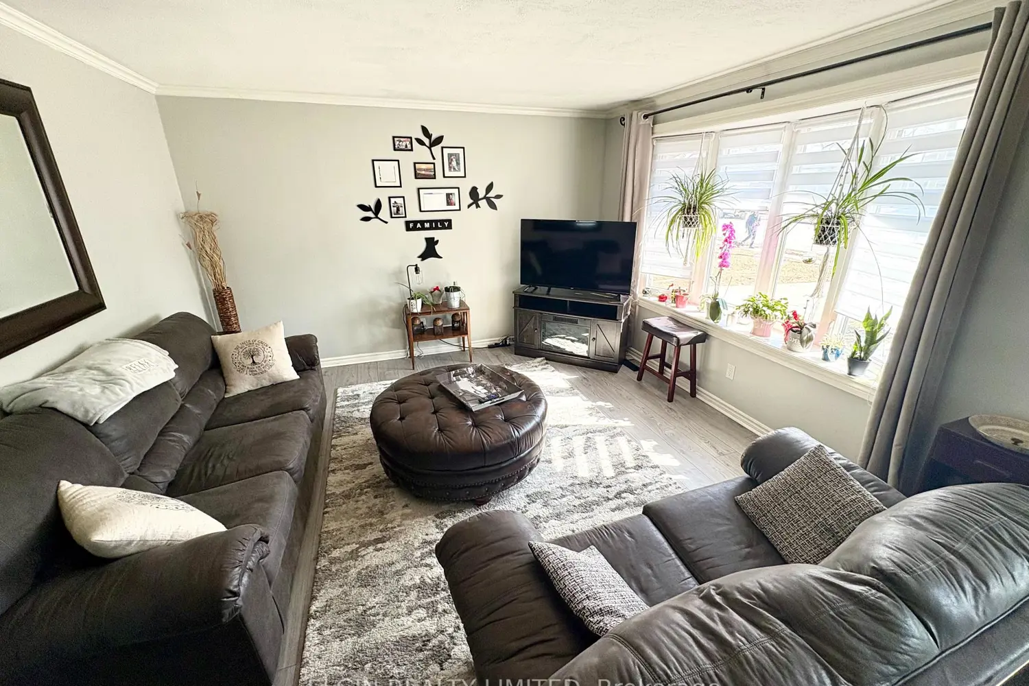 Additional image 2 of 66 Aldborough Avenue
