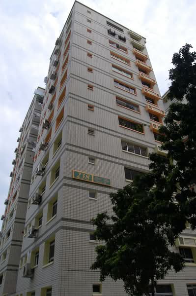 Additional image 6 of 238 Pasir Ris Street 21