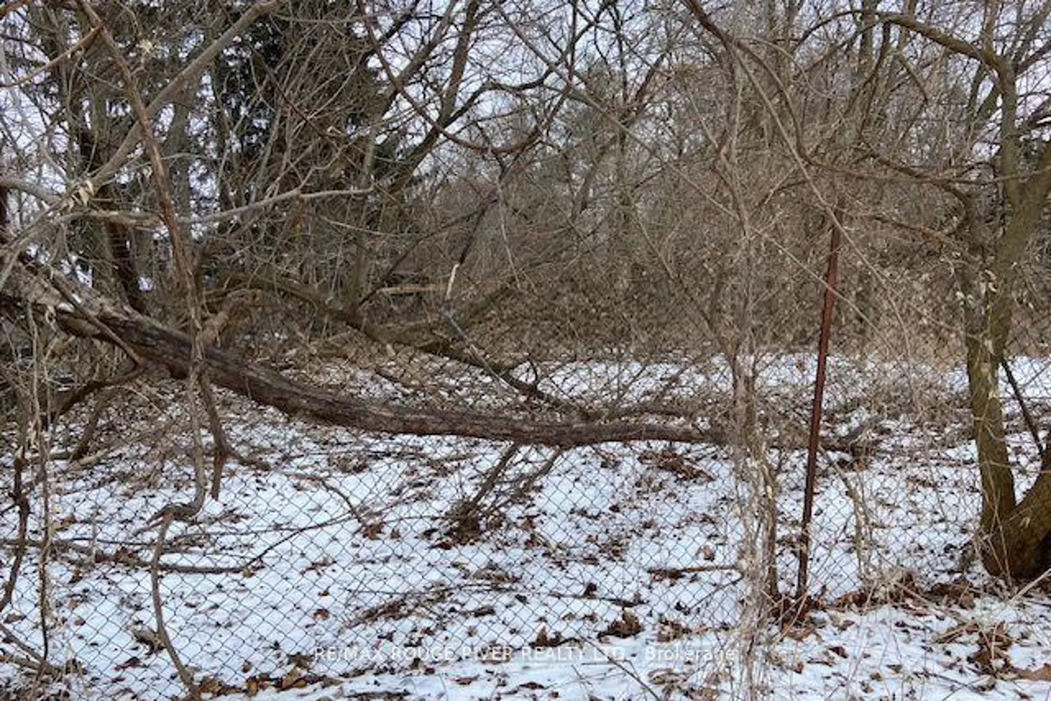 Additional image 18 of 72 Meadowvale Road