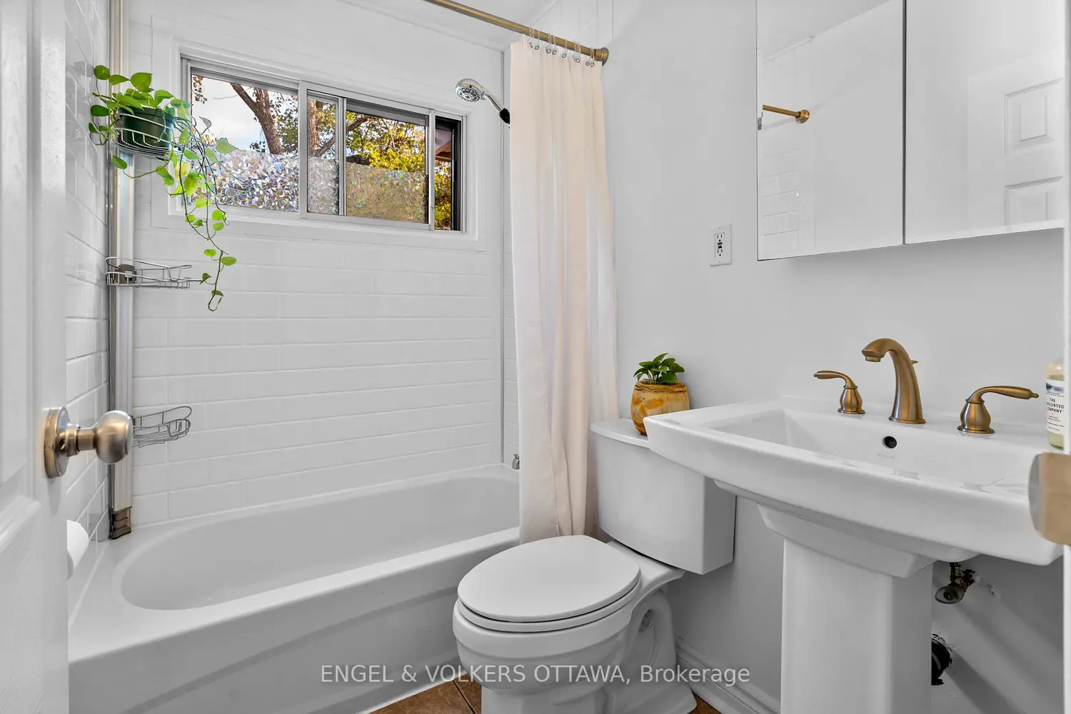Additional image 13 of 270 Beechwood Avenue 11