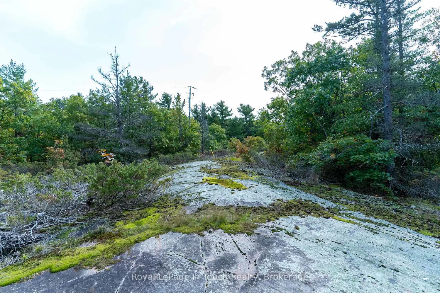 Additional image 17 of 1276 Island 980