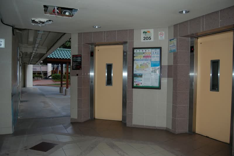 Additional image 22 of 205 Tampines Street 21