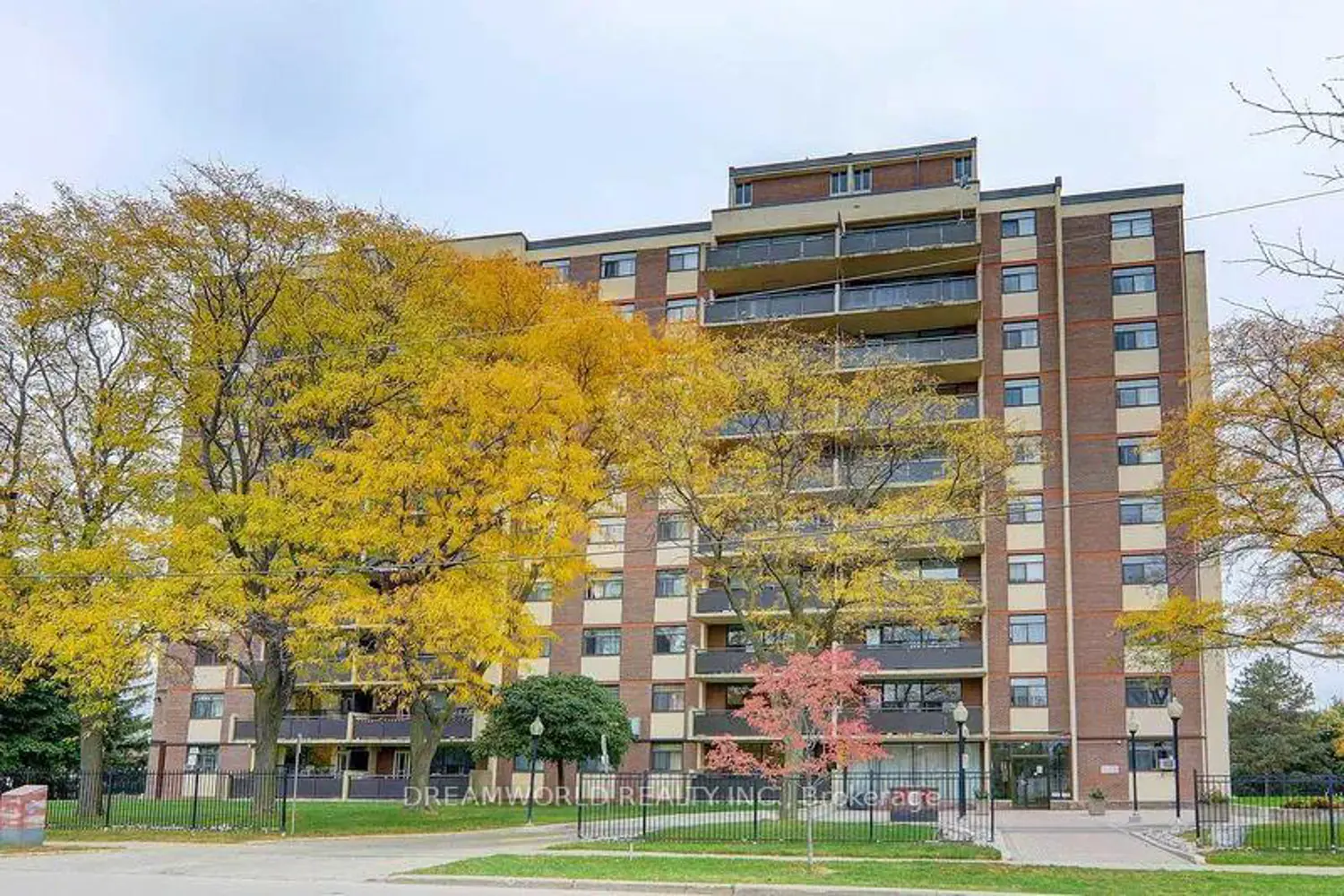 5 Frith Road 1004