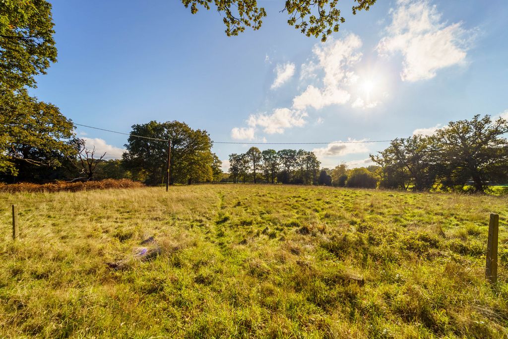 Additional image 9 of 4 bed detached bungalow for saleHoney Hill, Wokingham RG40