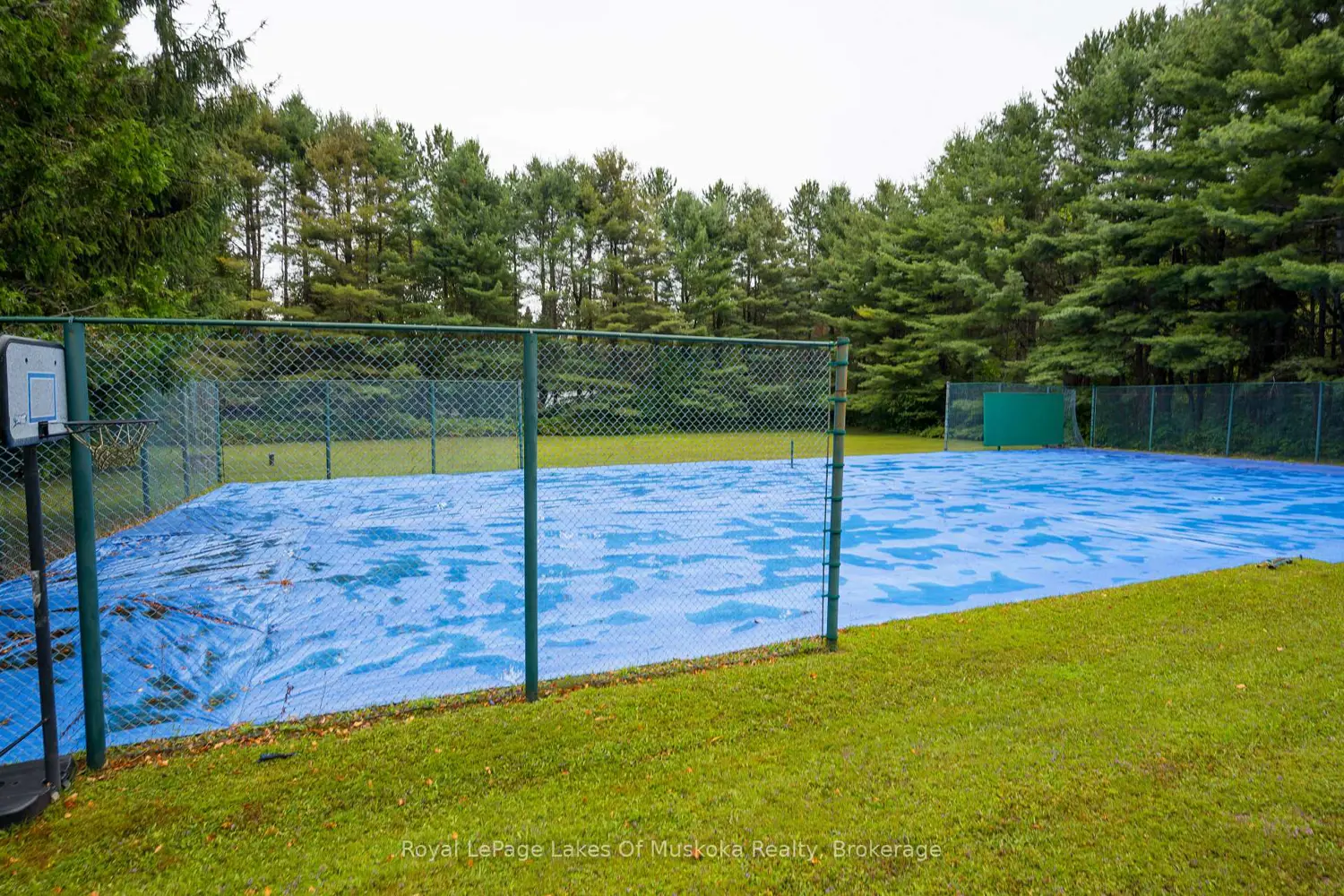 Additional image 14 of 574 Ravenscliffe Road