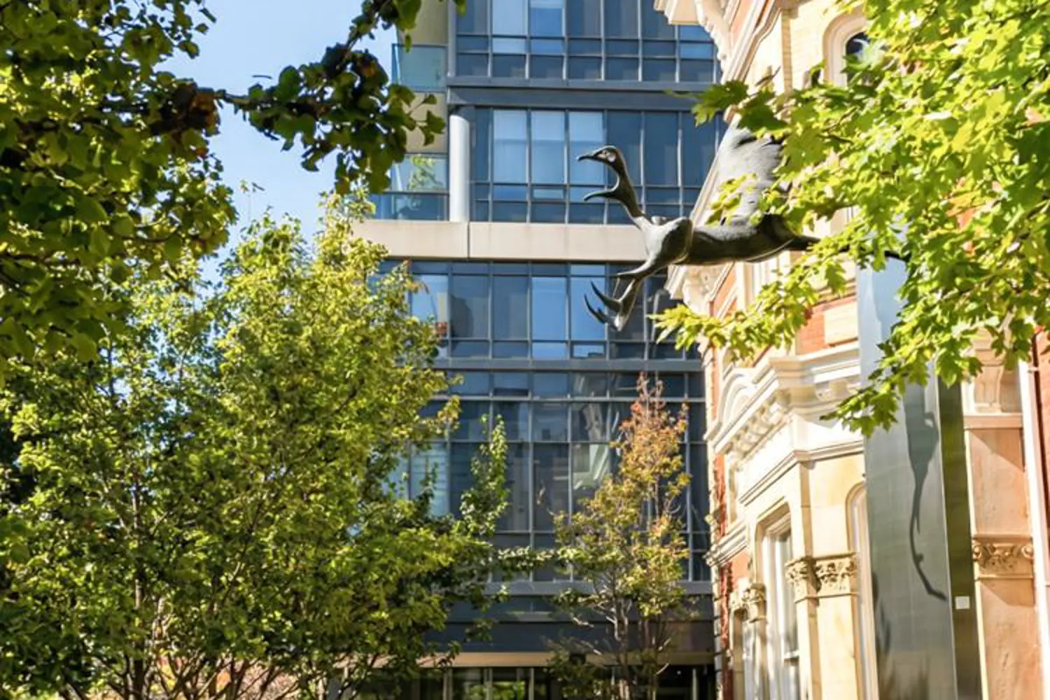 28 Linden Street 605