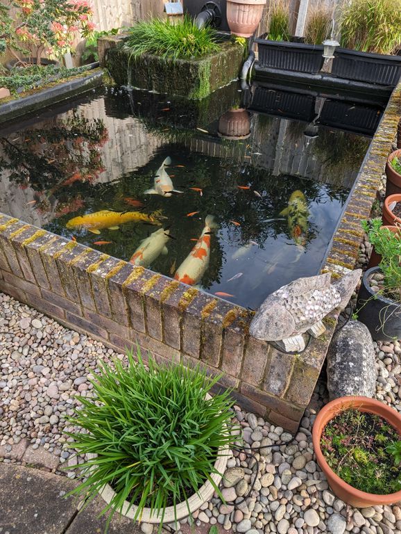 Additional image 22 of 4 bed detached house for saleEdenbridge Road, Southsea PO4